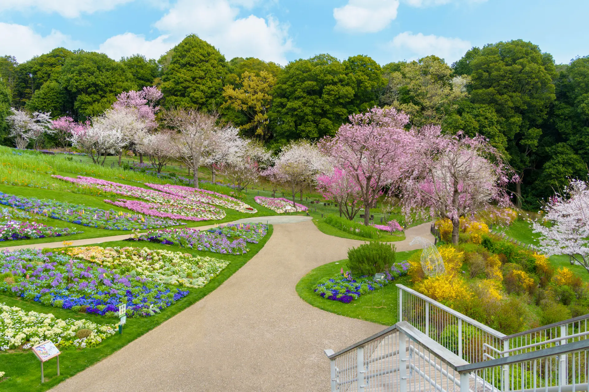 定番エリア以外にも魅力的なスポットが盛りだくさん