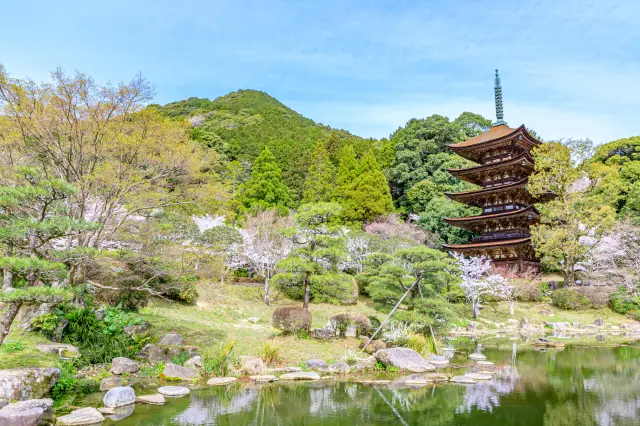 【超严选】一篇搞定！山口县必去景点17选