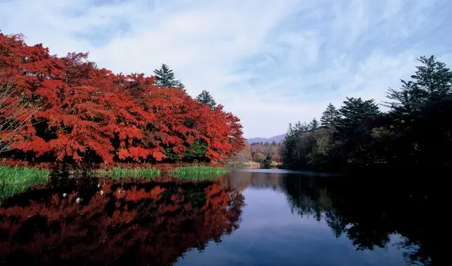 倒映著夏季新綠、秋季紅葉的美麗水鏡不容錯過