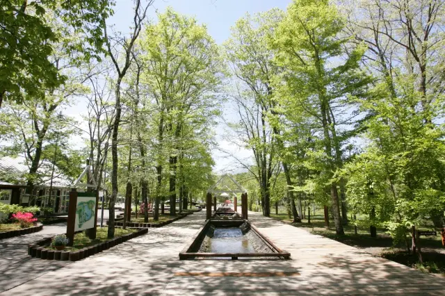 分布在盐泽湖畔的复合型度假设施。除了美术馆和文学馆，还有许多可体验户外活动的休闲设施