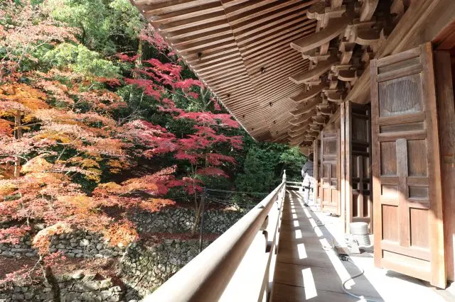 During the fall foliage, the mountain gate, which is normally closed to the public, is open to the public