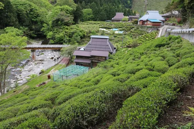 A landscape that can be called the original landscape of Japan spreads out