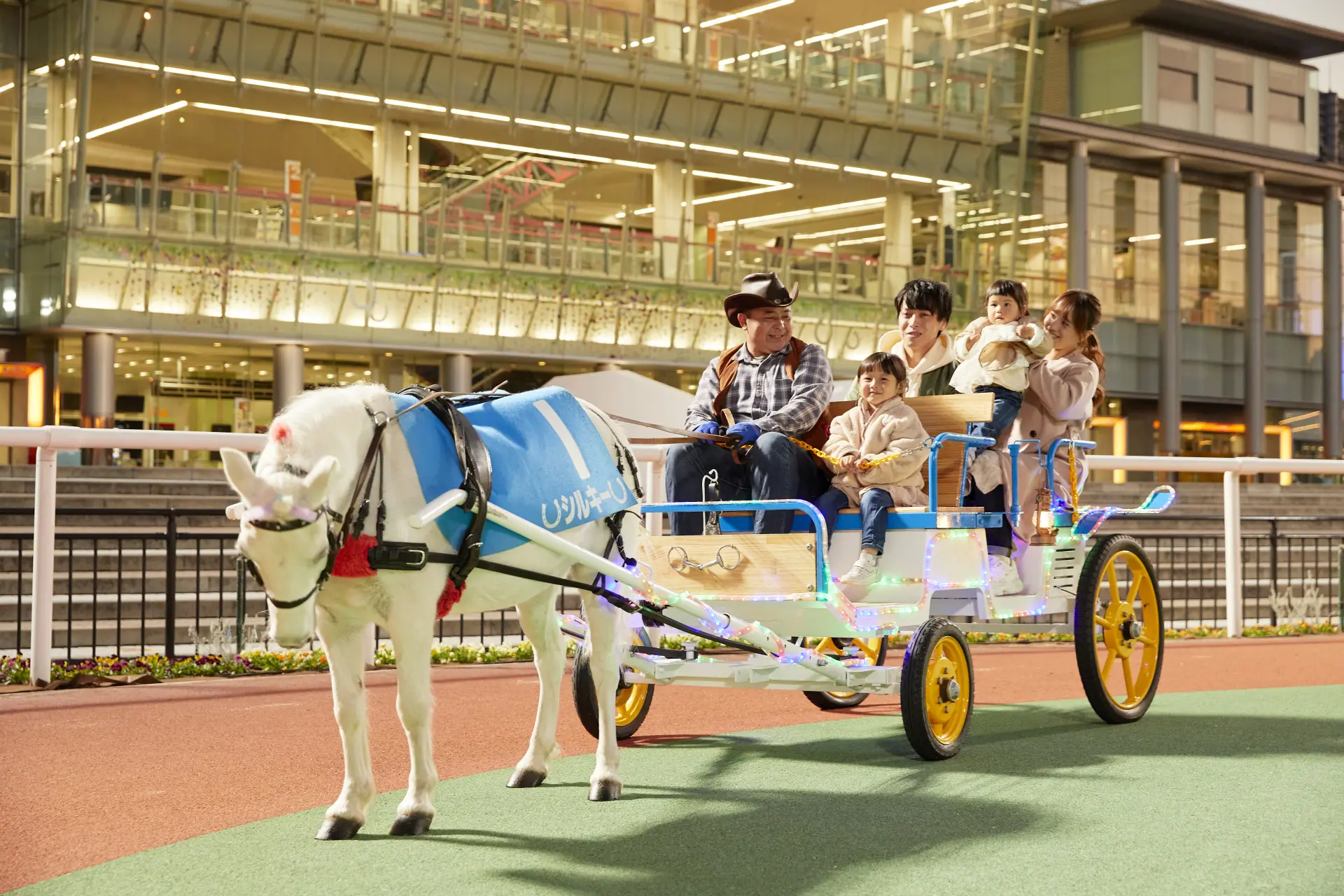 家族みんなで楽しめるポニー”馬車”体験