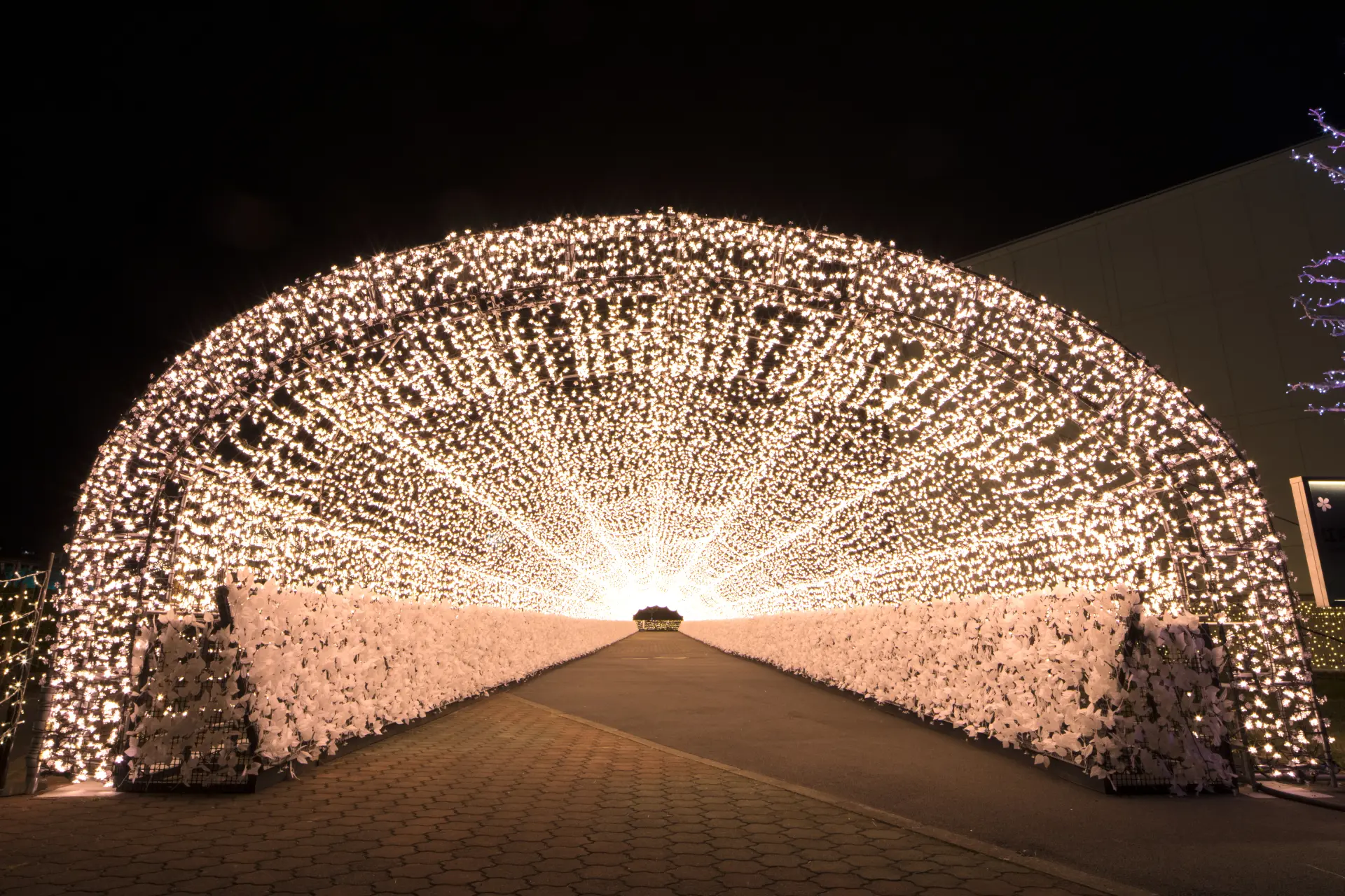 長さ100mも続く幻想的な光のトンネル「江戸桜トンネル」