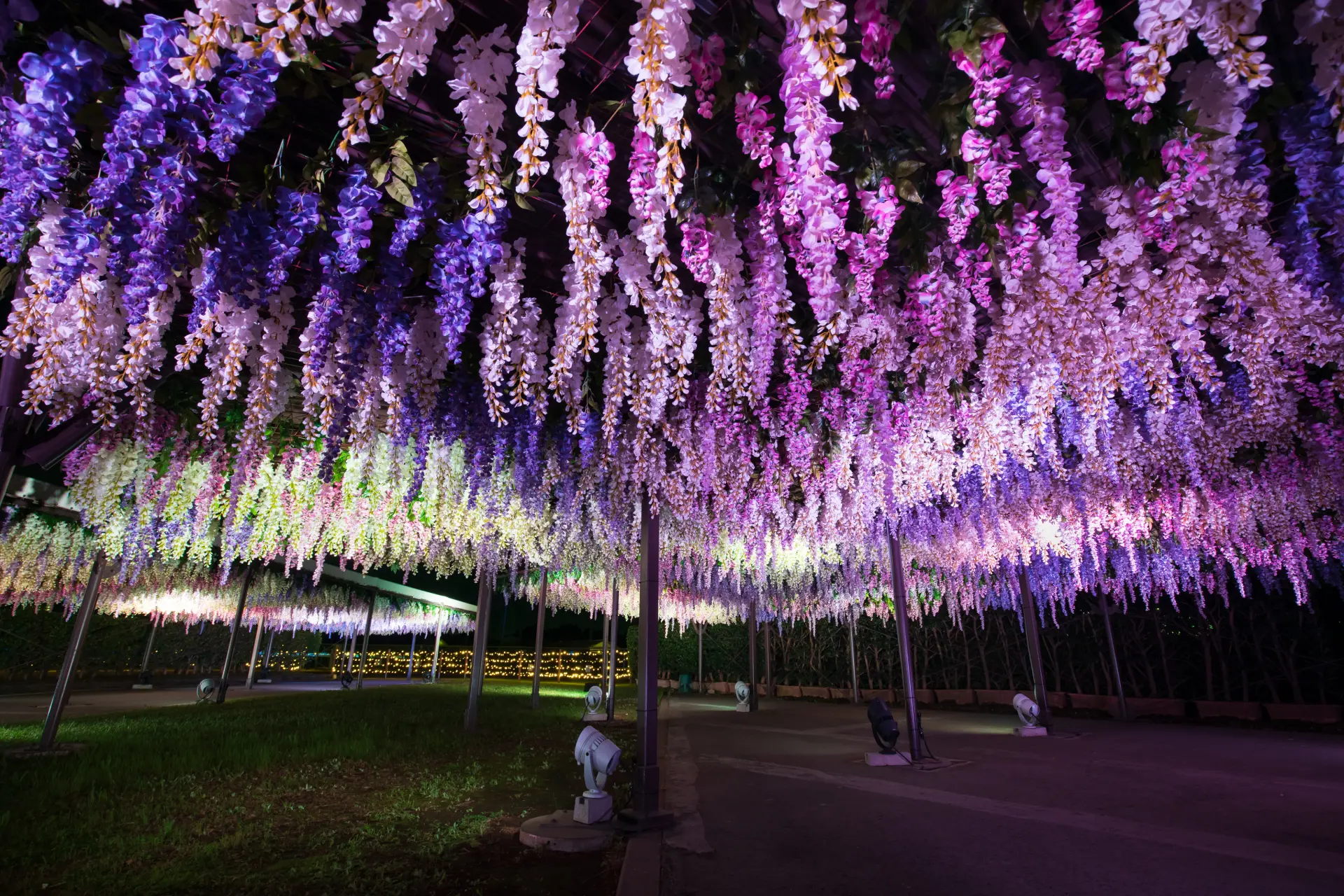 無数の花々が咲き乱れる幻想的な空間。フォトスポットとしてもおすすめ
