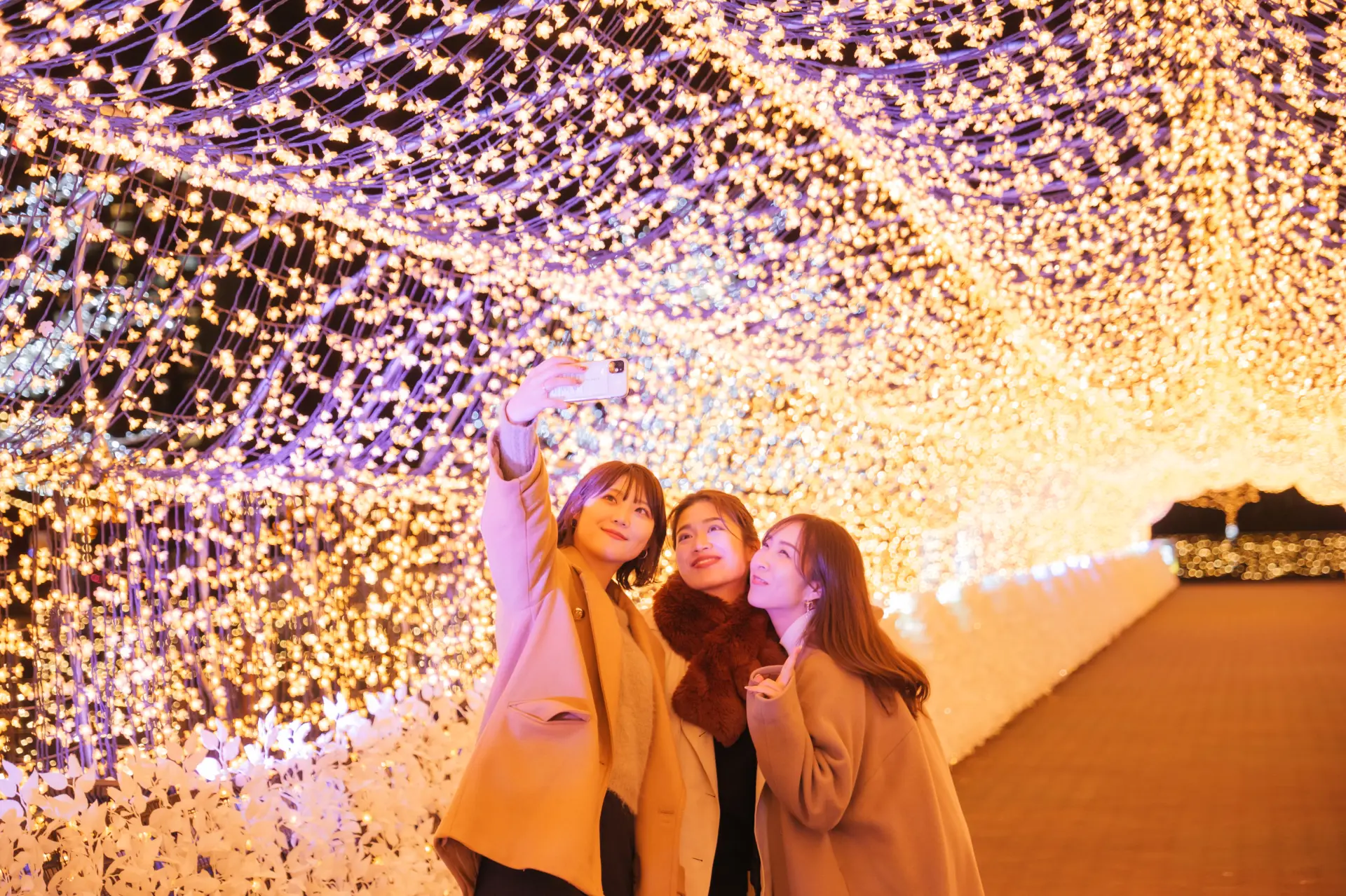 桜色の光に包まれながら歩ける「江戸桜トンネル」