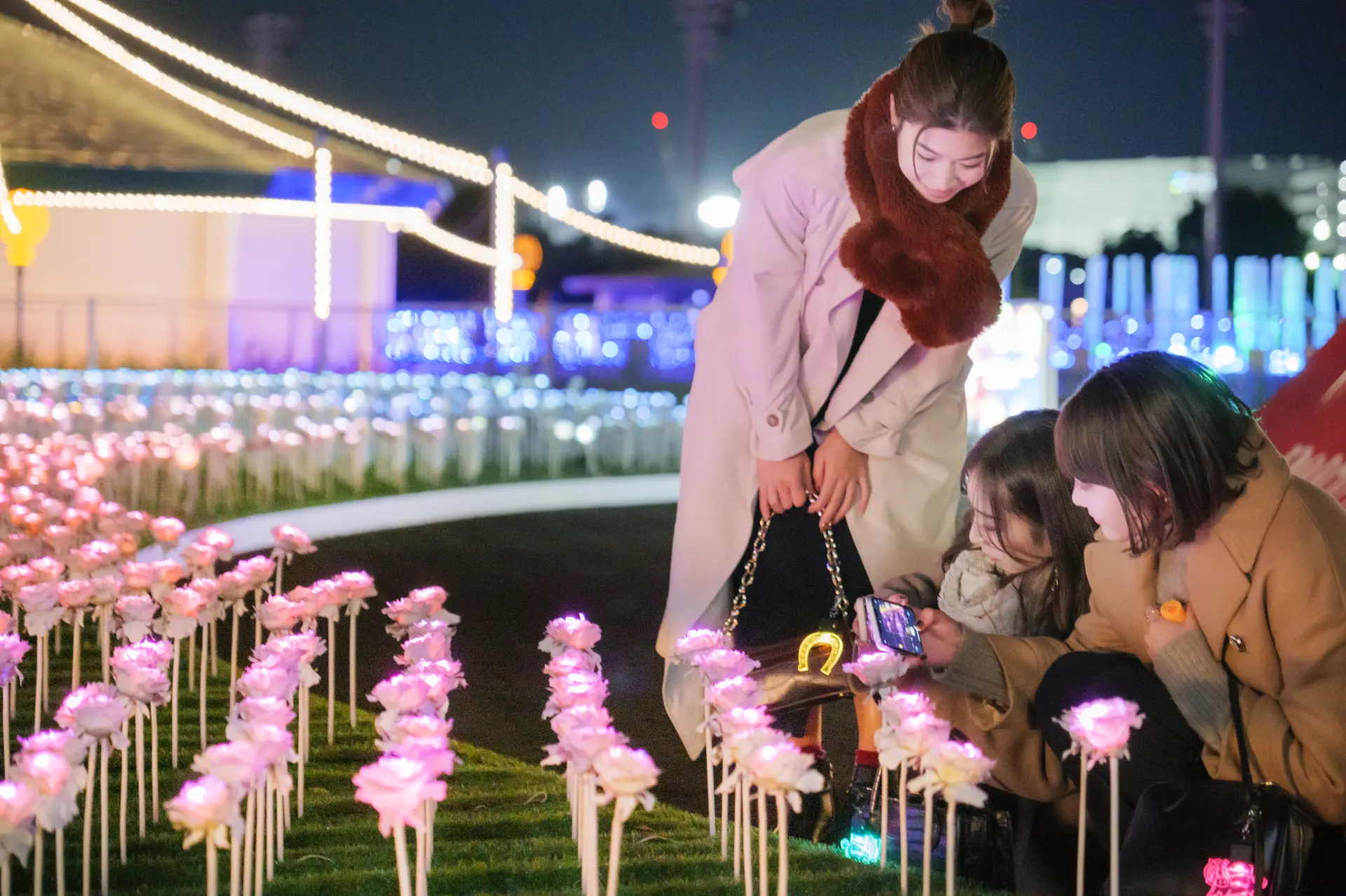 光のバラが咲き誇る庭園「ローズガーデン」