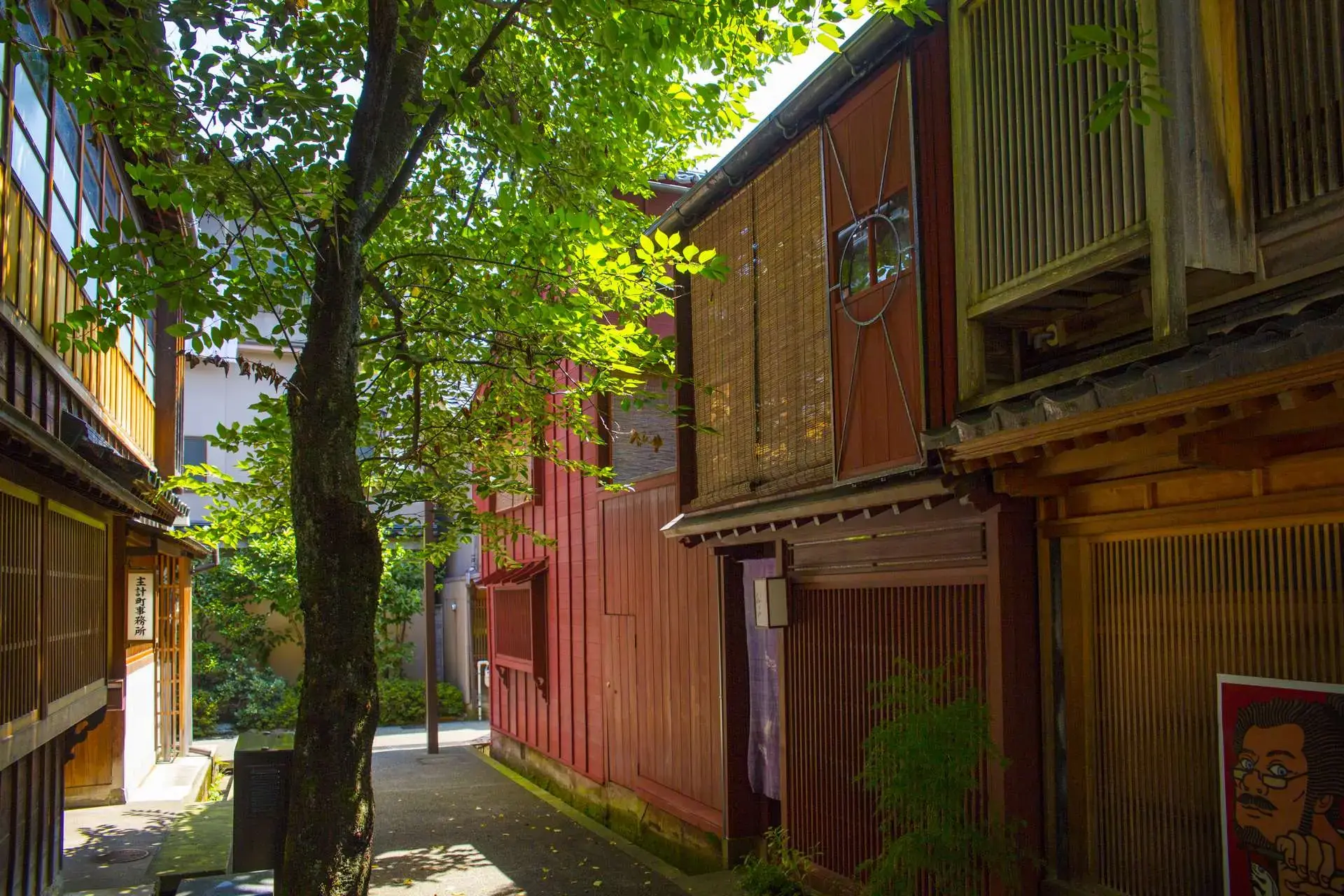 川沿いに細い路地と風情ある茶屋建築が続く町並みを散策