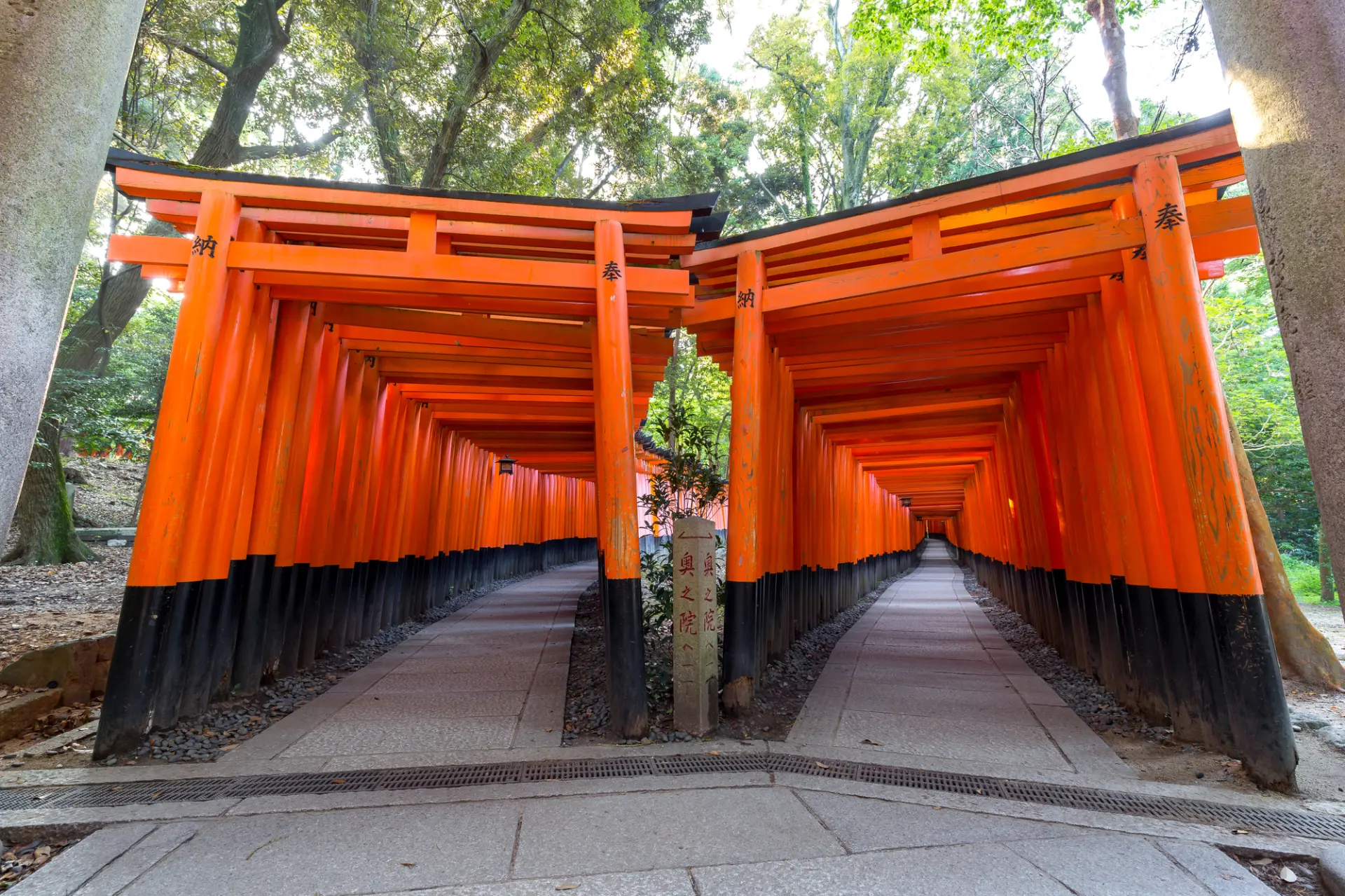 フォトスポットとしても高い人気を誇る千本鳥居