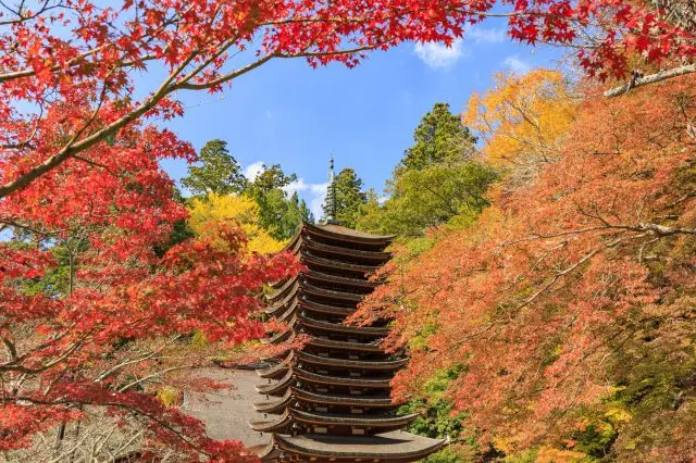 奈良必去景點總整理
在千年古都邂逅日本純粹的歷史文化