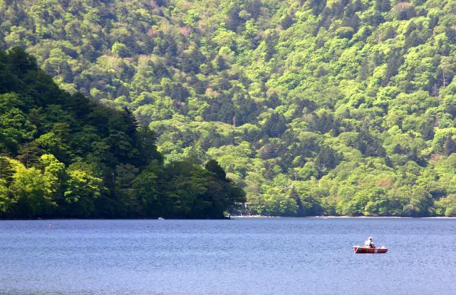 日本地理位置最高的湖泊，能享受四季不同的自然美景