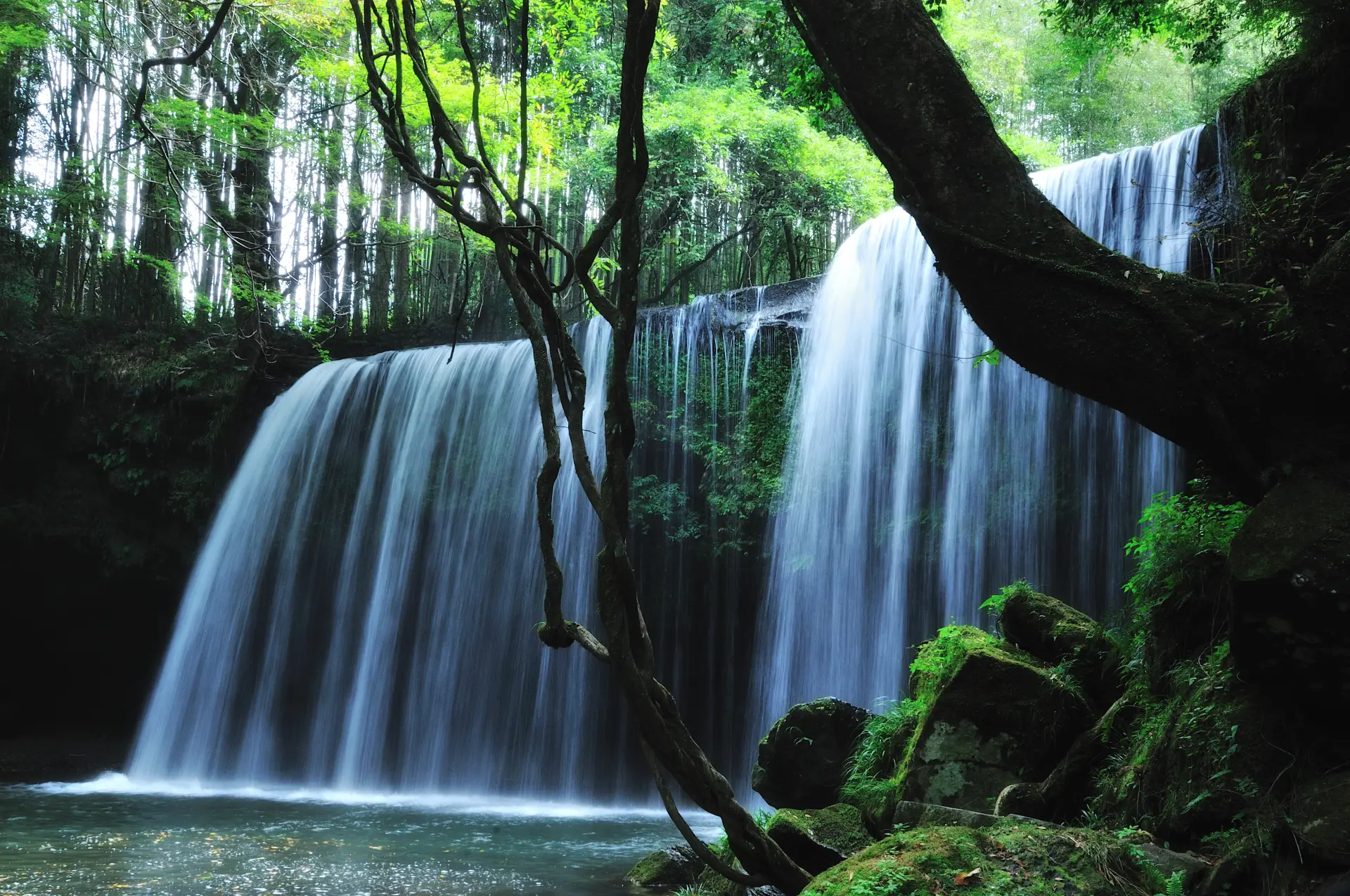 水のカーテンが心を包む、自然に囲まれた癒しの世界