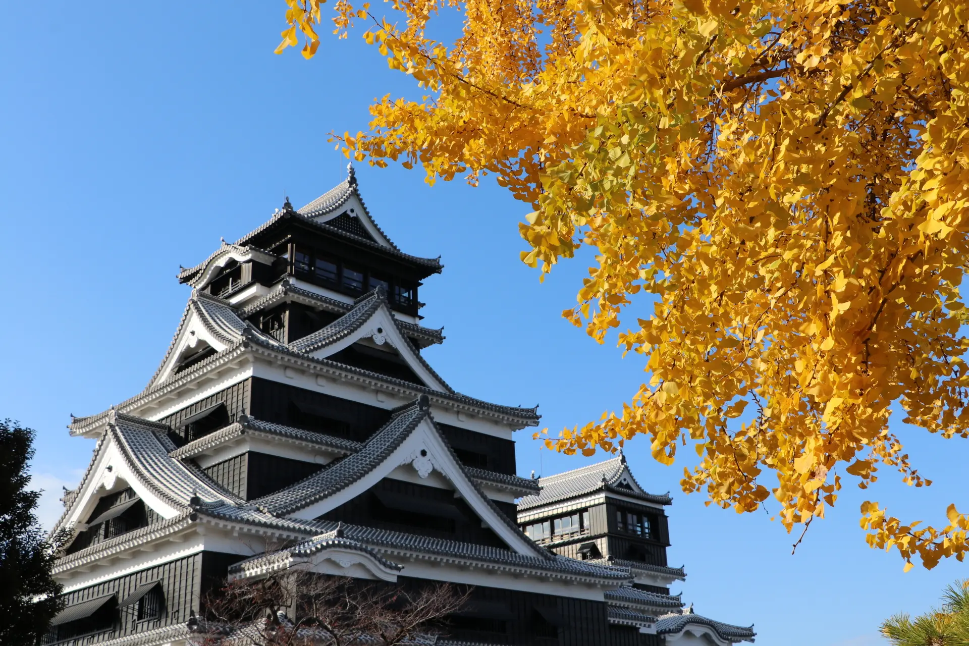 四季折々の表情も熊本城の見どころのひとつ