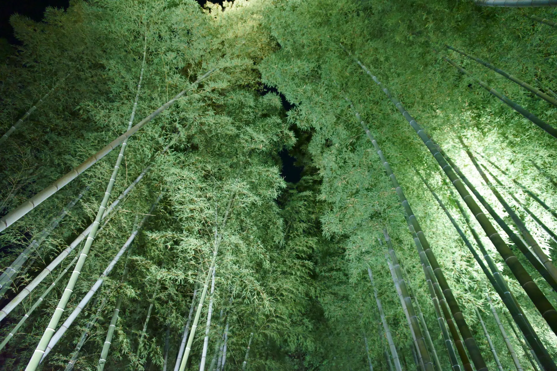 竹林に囲まれた極上のプライベート空間を提供する温泉旅館（※写真はイメージです。）