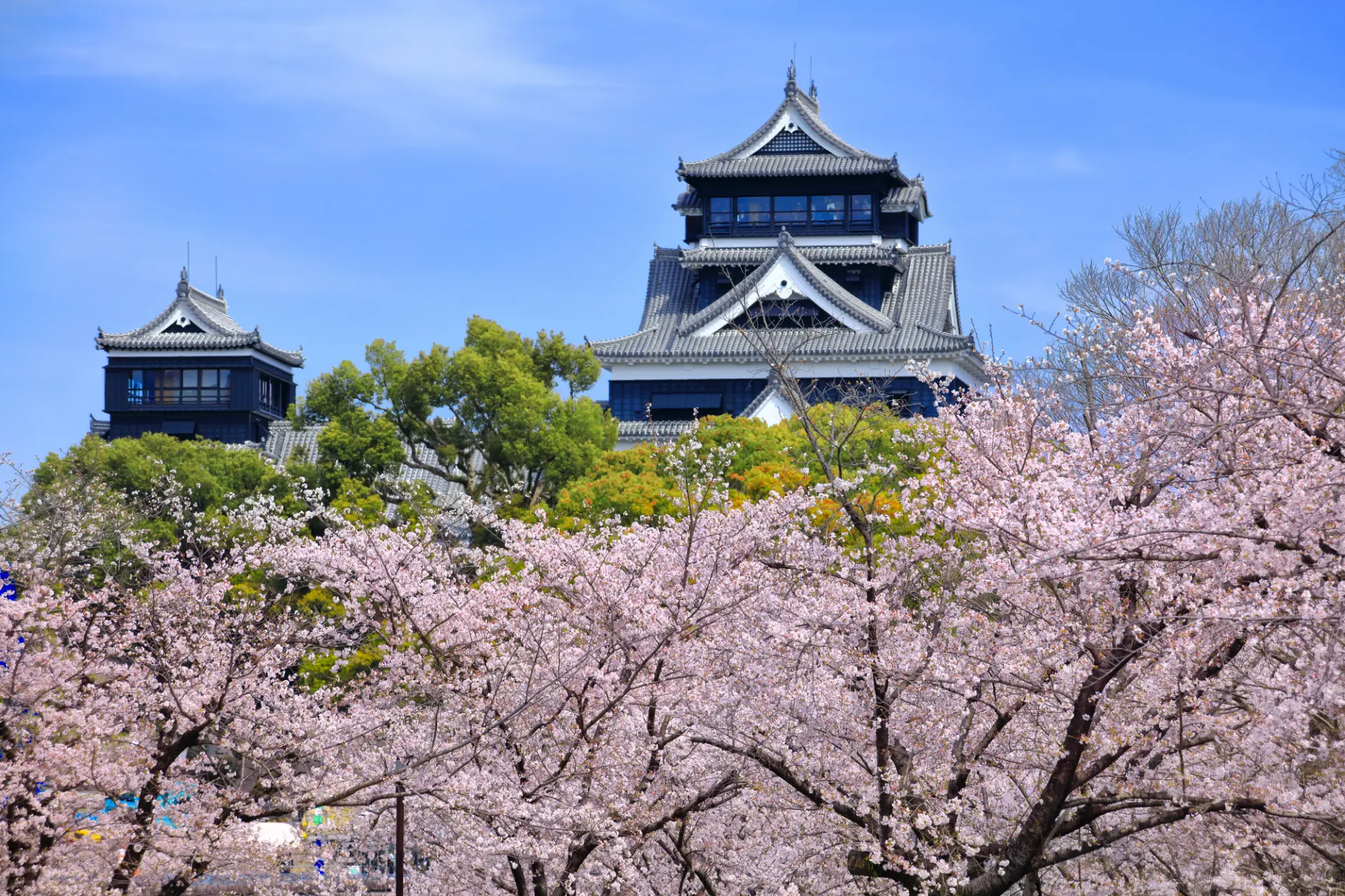 桜と併せて様々な催しを楽しめるイベント
