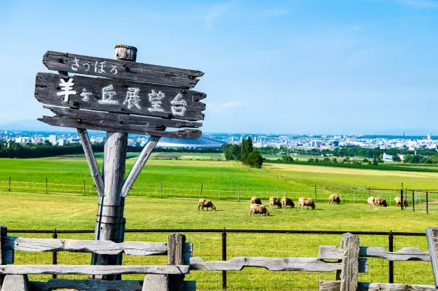 除了擁有美麗的田園景觀，還能觀賞羊隻放牧的風景