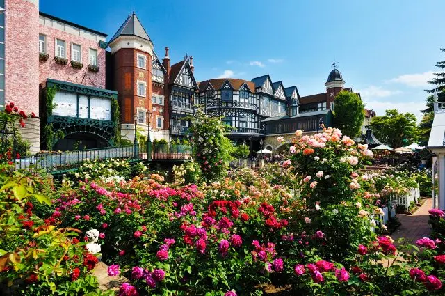 A theme park where you watch, learn, and taste sweets and happiness.