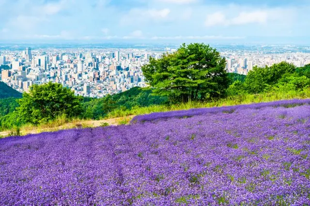 【超严选】一篇就够！札幌必去景点19选
