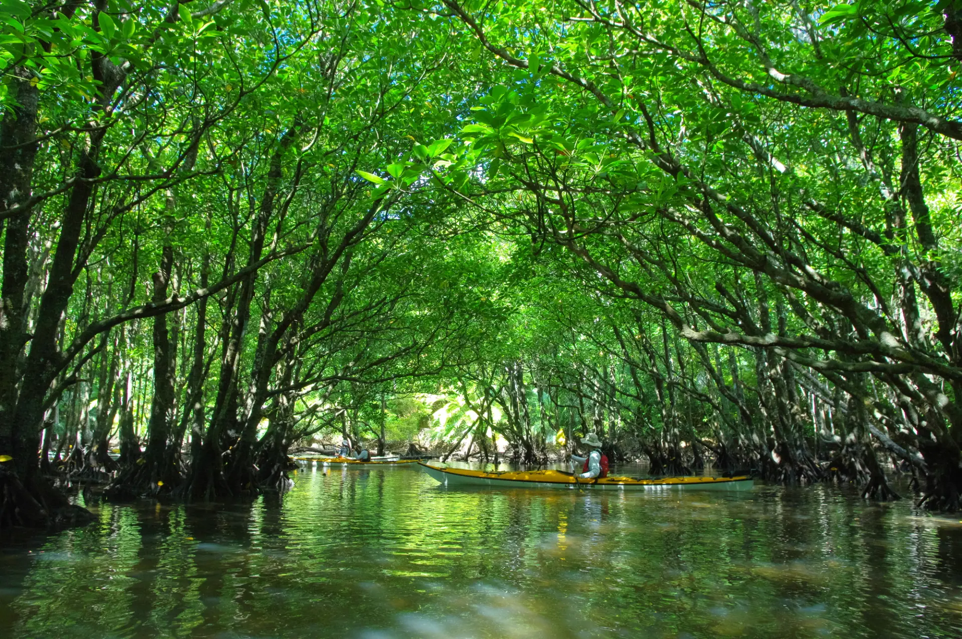 離島ならではの景色や体験も楽しもう