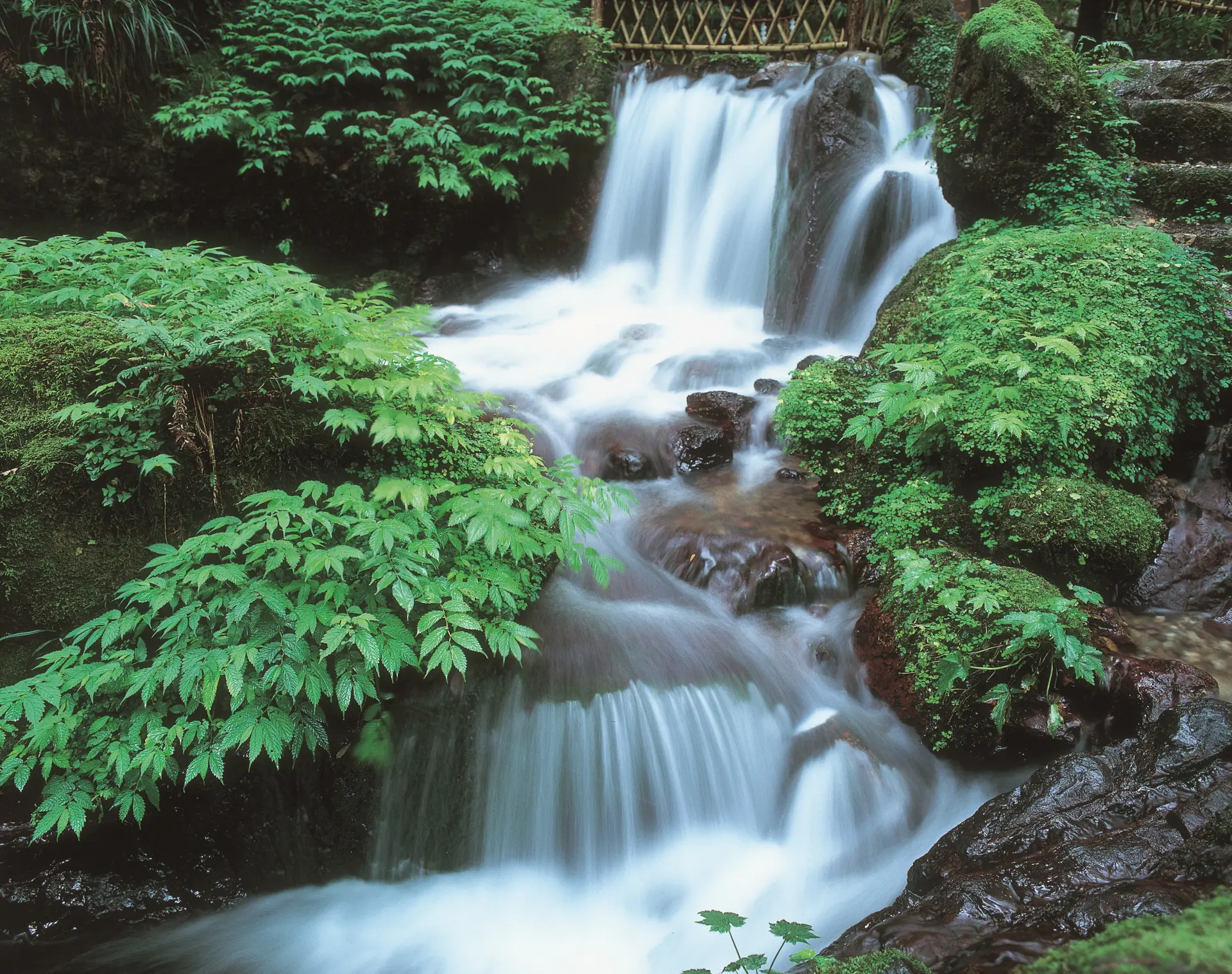 全国名水百選にも選ばれる冷たくておいしい水が流れる滝