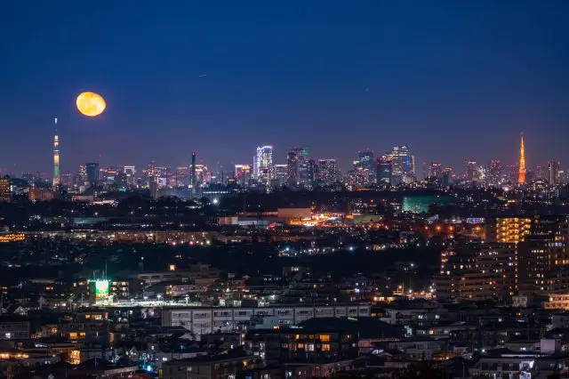 入夜点灯后的东京晴空塔和东京塔