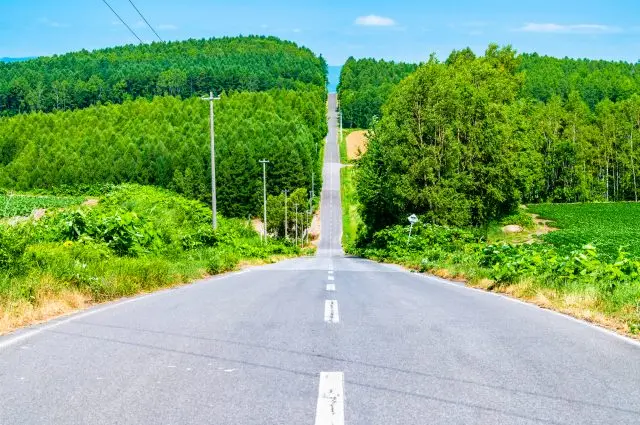 Like a roller coaster? A beautiful wave-shaped hill loved by local cameramen.