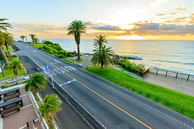 散发着南国风情的宫崎县（图片为日南海岸）