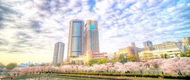 歴史的建造物と桜が調和した絶景を満喫！大阪の人気お花見スポット15選
