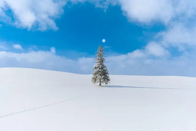 【超严选】一篇搞定！北海道必去景点30选