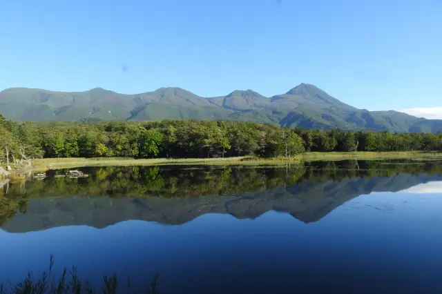 Experience grand nature and wildlife up close