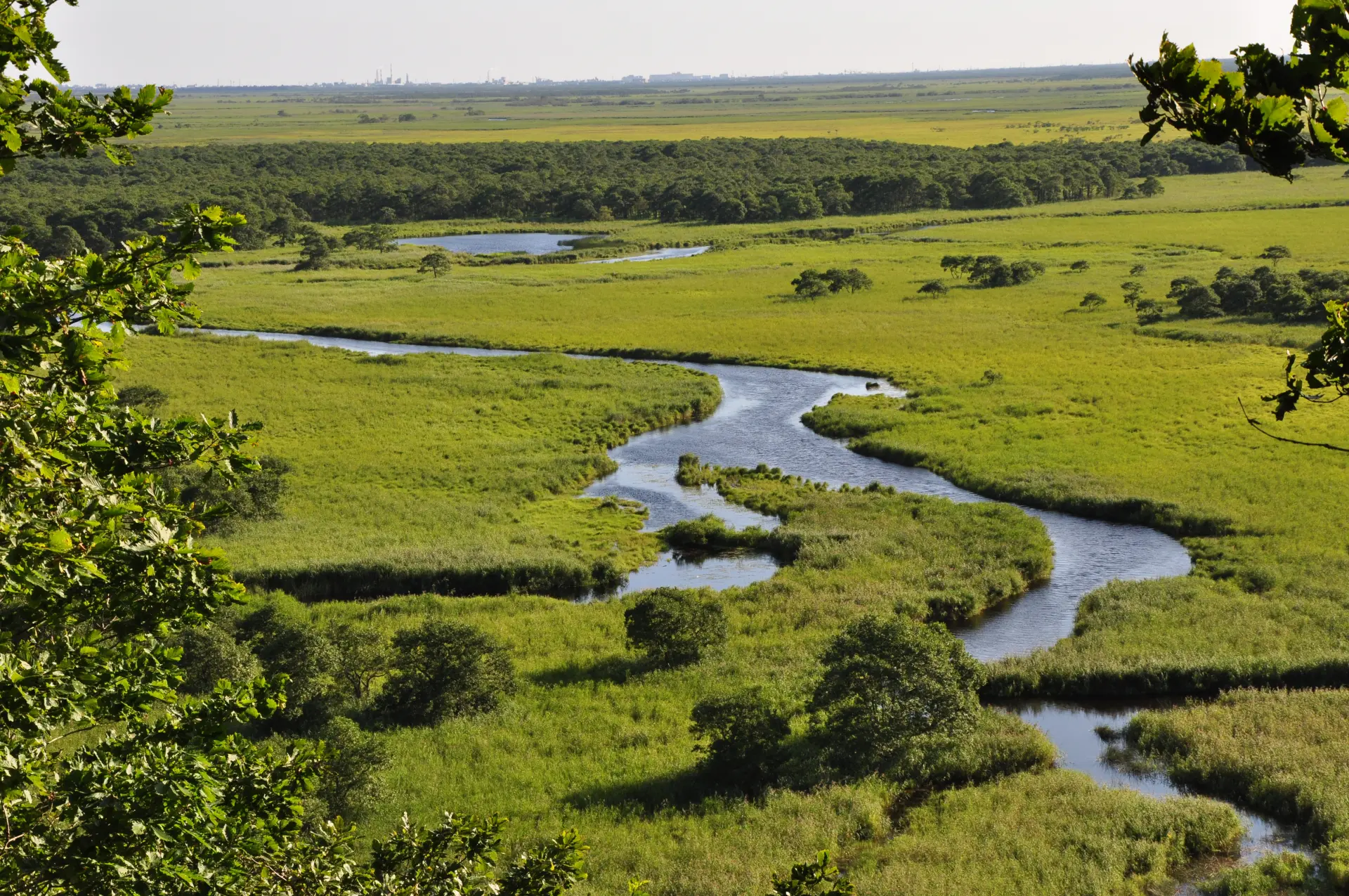 広大な北の大地に広がる、手つかずの自然を大満喫