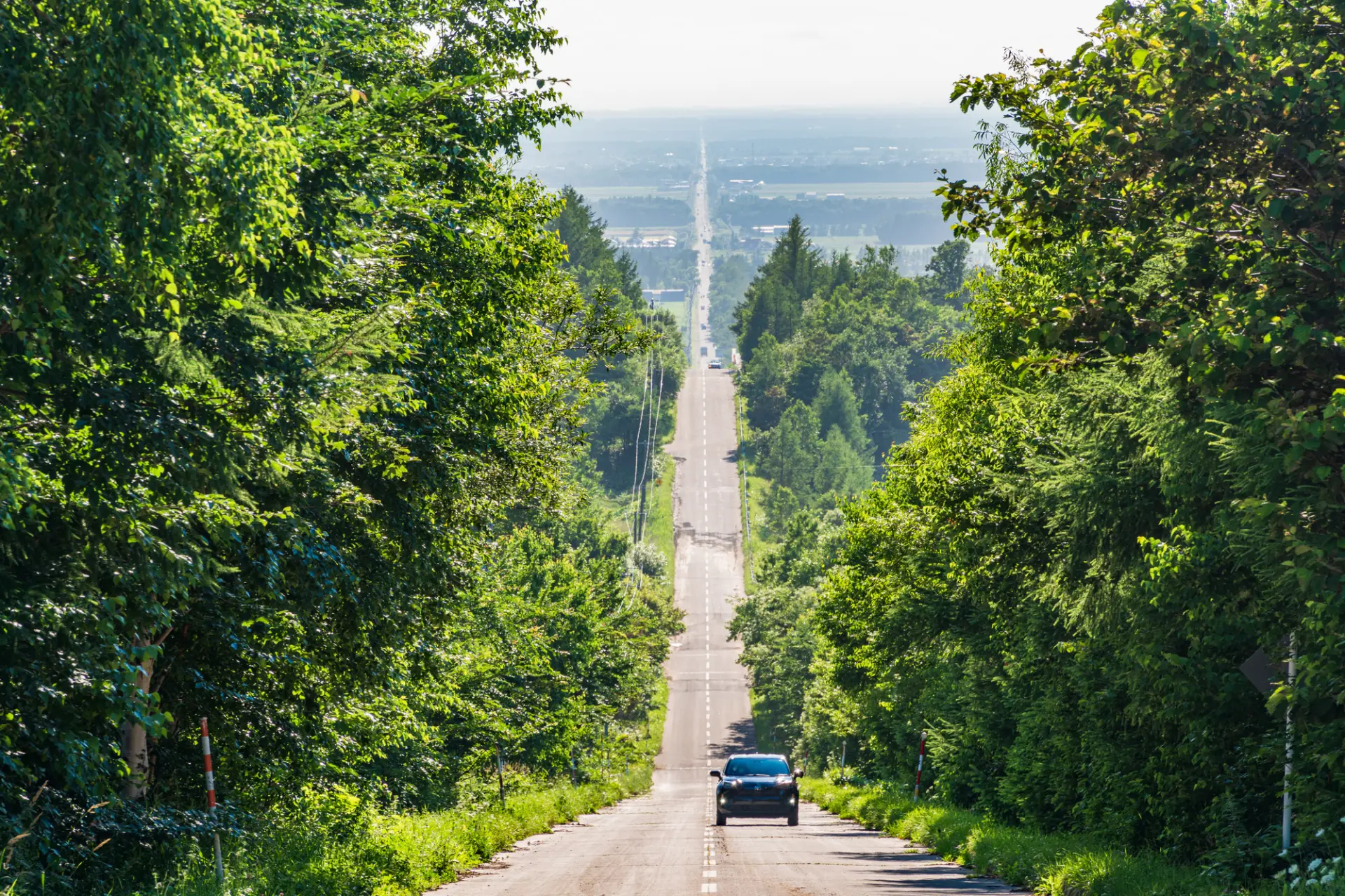 北海道ならでは、夏ならではの景色を楽しもう