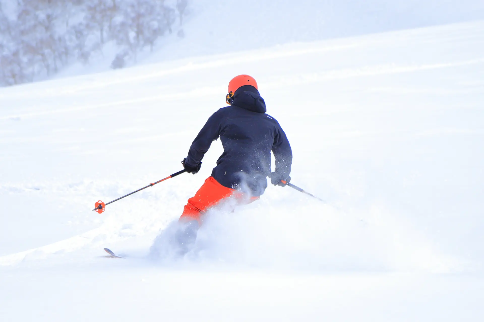パウダースノーに触れる貴重な体験をしてみよう