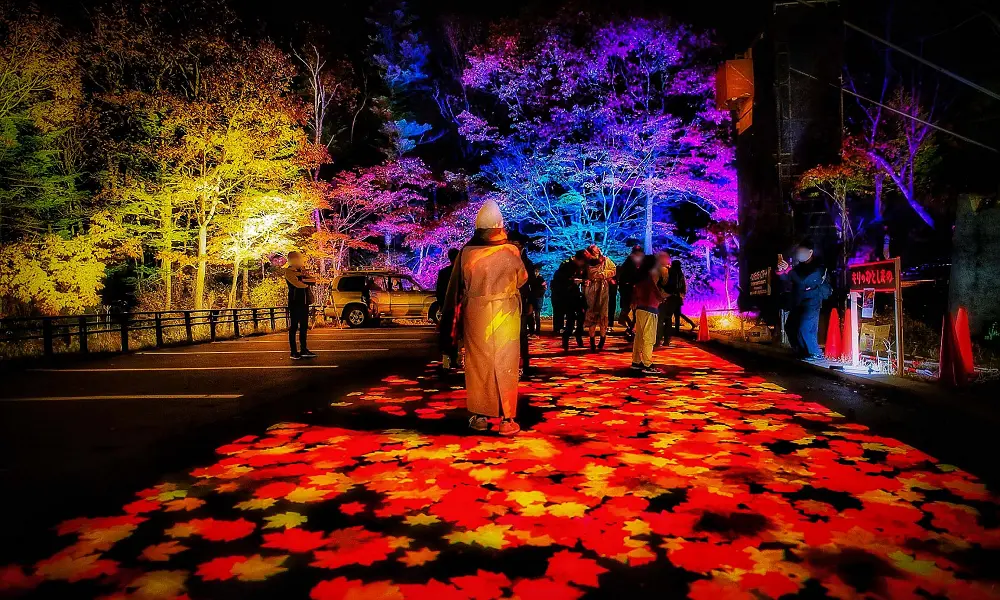 紅葉と光による幻想的な空間が広がるライトアップイベント