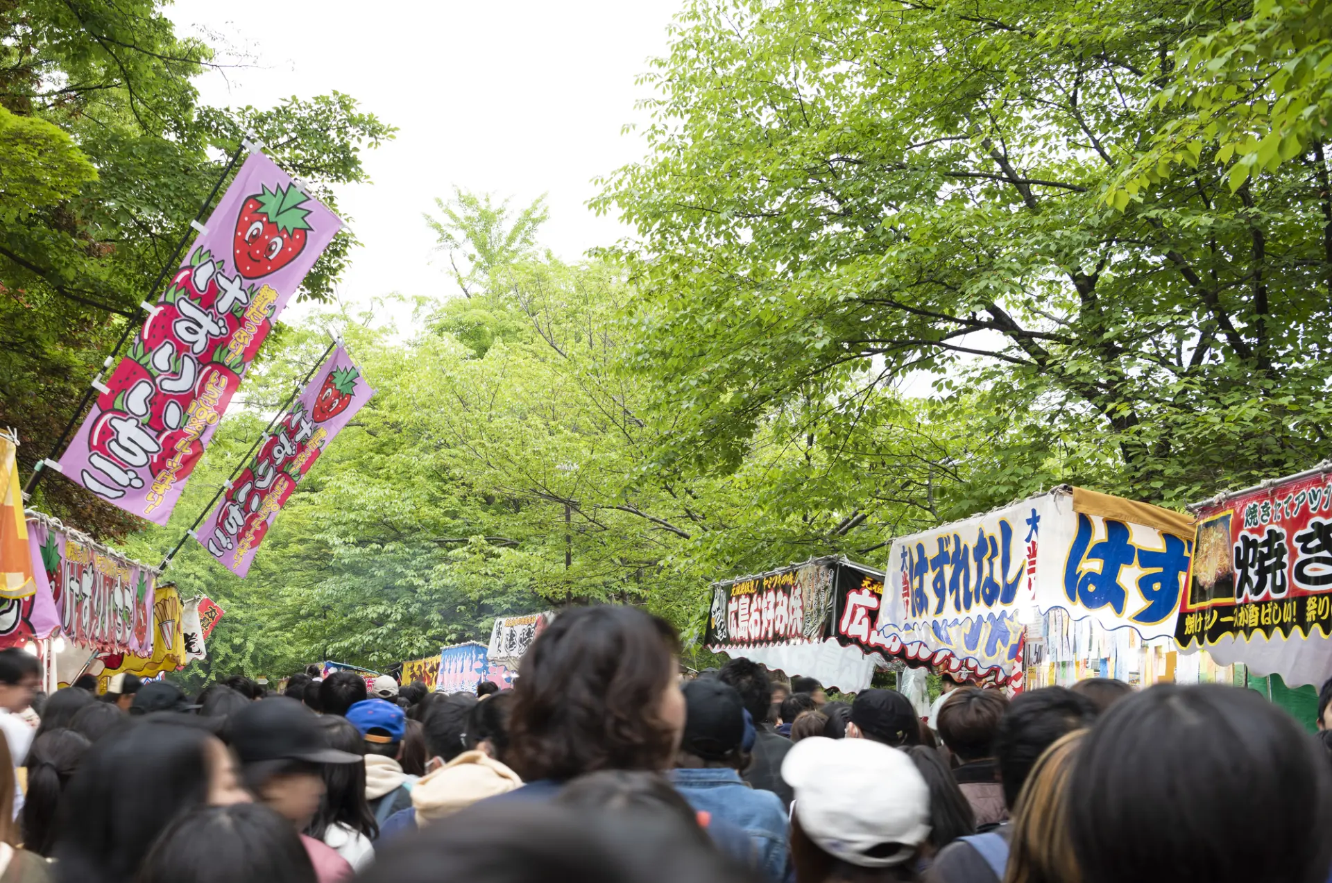 見頃やイベント開催時期を調べて混雑状況を予想して準備しよう