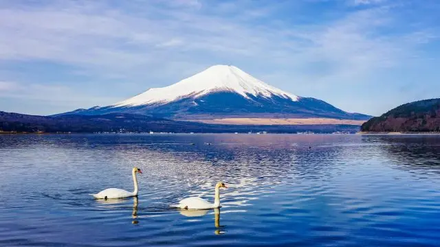 Experience the Breathtaking Beauty of the Mountains! 32 Tourist Spots in Yamanashi