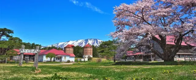 拥有130多年历史的大规模观光农场，也是岩手县历史名人宫泽贤治极为钟爱的地方