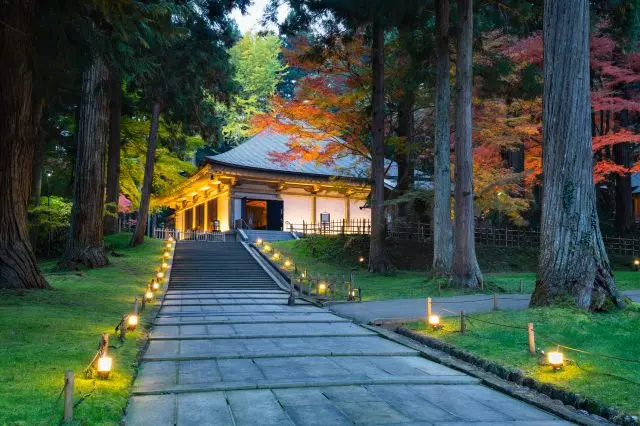 光り輝く国宝「金色堂」や、蓮の名所でも有名な寺