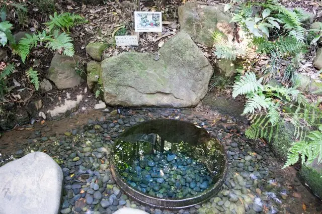 Kiyomasa no Ido(Kiyoumasa's well), one of the most popular power spots in Meiji Jingu Shrine