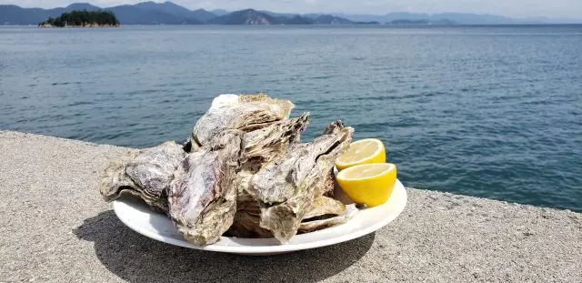 Citrus fruits such as "oysters" and "lemons" can also be enjoyed