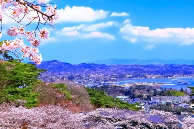 春天的松島街市景觀