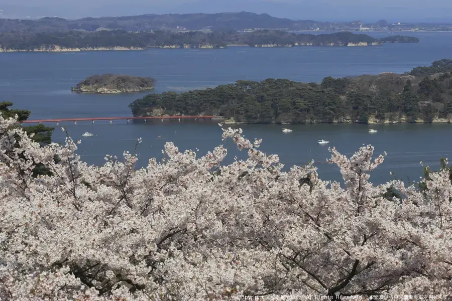 日本三景・松島の絶景を望める高台にある公園