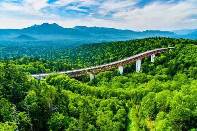 "Mikuni Pass" with a sea of fresh green trees