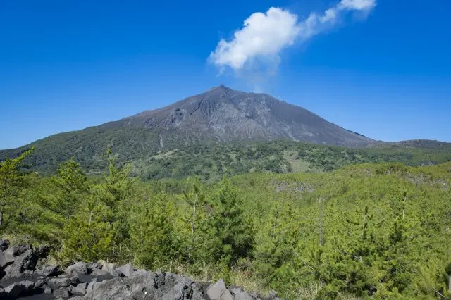 Sakurajima, which emits a white plume of smoke every day. Forests with different vegetation form a gradation at the foot of the mountain.