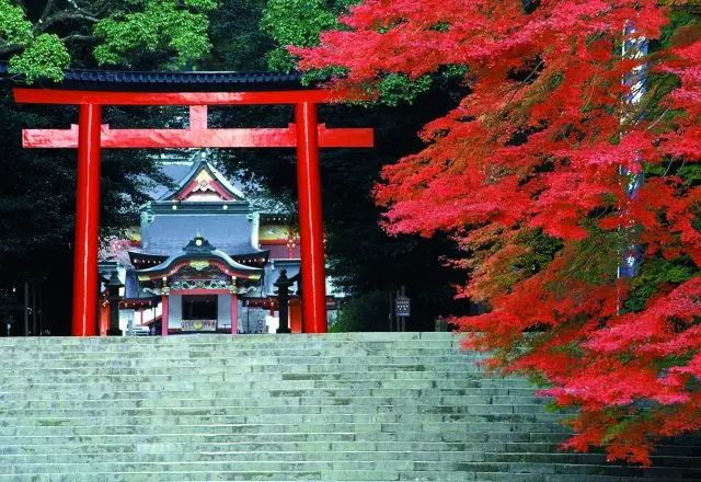 Kirishima Jingu Shrine. The worship hall, designated as a national treasure, can be seen through the vermilion-lacquered torii gate.