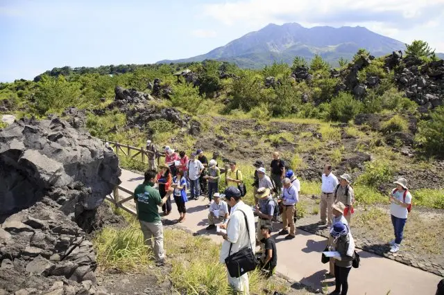 With a knowledgeable guide, you can understand Sakurajima more deeply.