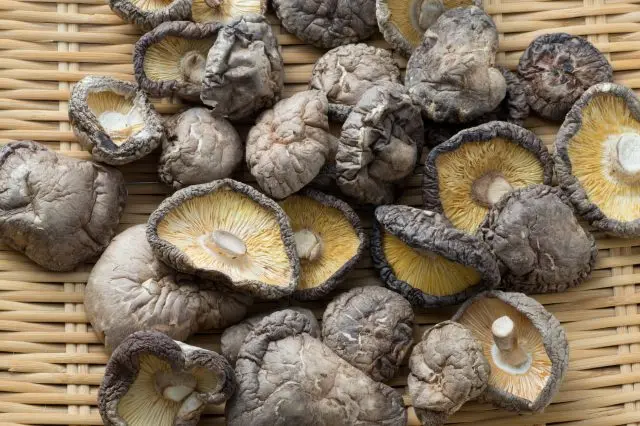 味と香りが独特で強い椎茸出汁