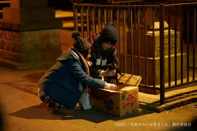 반려묘 ‘바론’을 만났던 ‘도쇼진자(道生神社)’