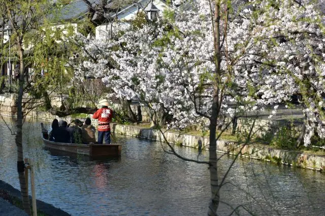 "Traditional Boat Tour of Kurashiki Canal" operates on the Kurashiki River in the heart of the Kurashiki Bikan Historical Quarter.
Boats depart every 30 minutes from the first departure at 9:30 am