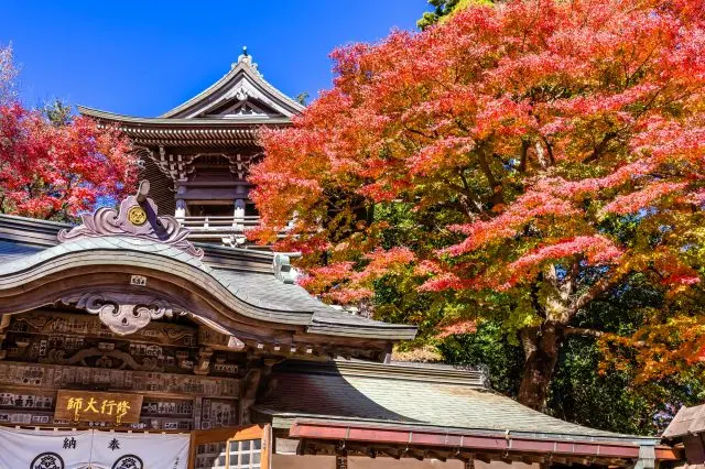 擁有1,200年以上歷史，以能量景點而聞名的真言大本山